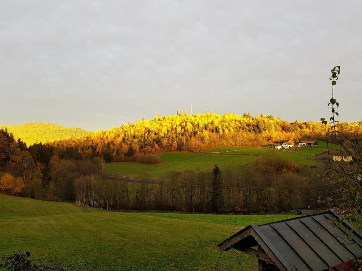 Haus Am Osterbruennl Apartment Ruhmannsfelden Luaran gambar
